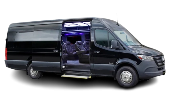 EXECUTIVE-LIMOUSINE-Mercedes-Sprinter-Executive-Van-Mahilimoservice